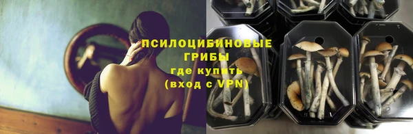 круглые Богородицк