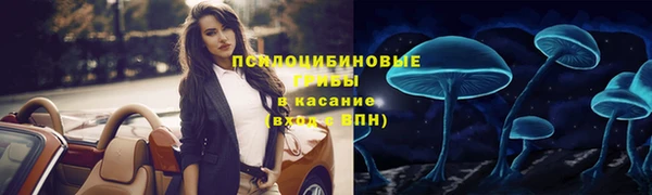 герыч Богородск