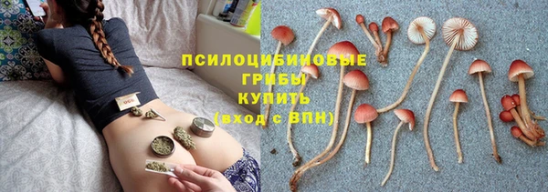 круглые Богородицк